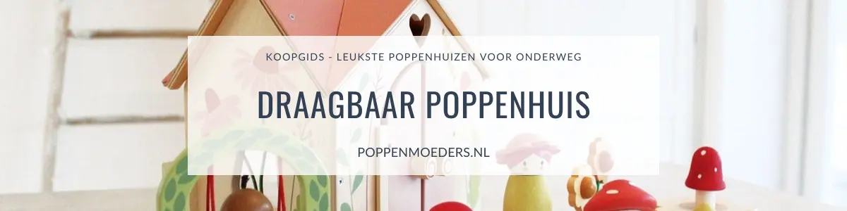 Draagbaar Poppenhuis Koopgids